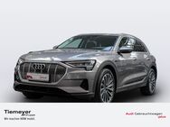 Audi e-tron, 50 Q LM21 TOUR, Jahr 2020 - Plettenberg