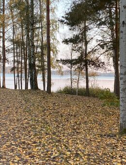 Sommer, Sonne, Badestrand - Gorden-Staupitz