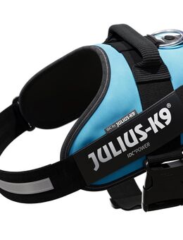 JULIUS-K9 IDC®-Powergeschirr, aquamarin - Größe: L