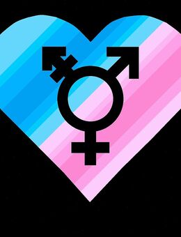 Transsexuelle für Beziehung gesucht - Kaiserslautern