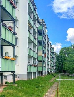 *** Krall Ihn Dir, den ERSTBEZUG *** - Chemnitz