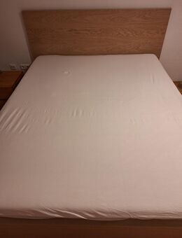 Bett und Matratze - Frankfurt (Main)
