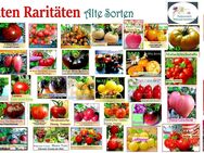 ♥ BIO samenfestes Saatgut Alte Sorten Tomate Gurke Kräuter Samen Tulpenstolz - Hamburg Hamburg-Nord
