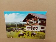 Postkarte C-102-Blomberghaus bei Bad Tölz. - Nörvenich