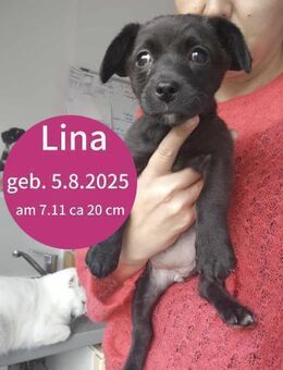 Kleine Lina möchte die Welt entdecken! - Beltheim