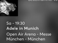 Adele Konzert - Rheine