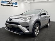 Toyota RAV 4, RAV4 (A4)(2013 ) Team D, Jahr 2019 - Eltville (Rhein)