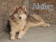 Hailey möchte dich verzaubern - Essingen (Rheinland-Pfalz)