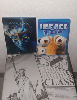 DVDS verschieden - Bingen (Rhein)