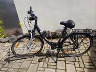 Kaum genutztes, gut gepflegtes Fahrrad von Pegasus zu verkaufen - Preis ist verhandelbar - Bornheim (Nordrhein-Westfalen)