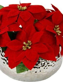 Kunstpflanze Poinsettia, I.GE.A., Höhe 16 cm