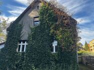 Handwerkerhaus mit Streuobstwiese in Werder - Werder (Havel)