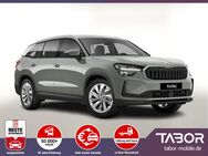 Skoda Kodiaq, TDI 193 Selec NeuesMod 19, Jahr 2024 - Kehl