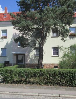 1. Kaltmiete frei ! - 2 Raum Wohnung in ruhiger Wohnlage - Bad Düben