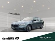 Skoda Octavia, Combi First Edition 110kw TDI, Jahr 2021 - Niestetal