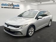 VW Golf Variant, 2.0 TDi Life, Jahr 2021 - Eltville (Rhein)