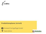 Produktionsplaner (m/w/d) - Haren (Ems)
