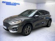 Ford Kuga 2.5 Duratec PHEV ST-LINE RFK+iACC+NAVI+TWA - Freiburg (Breisgau)