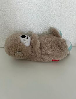 Schlafotter Fisher Price - Dietingen