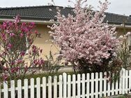 Traumhafter Bungalow in Zarrendorf bei Stralsund zu verkaufen - Zarrendorf