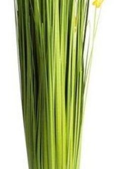Kunstgras Grasarrangement Gras, Botanic-Haus, Höhe 69 cm