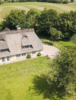 Exklusive Reetdachkate zwischen Wald und Wiesen - Taarstedt