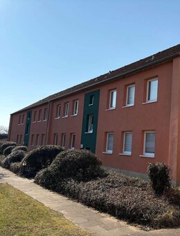 Renovierte 3 Zimmerwohnung in gepflegter Wohnanlage - Munster