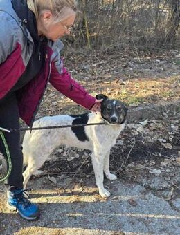 Freundlicher CHAP sucht liebes Zuhause♥️ - München