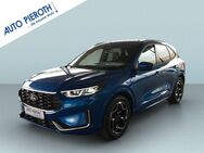 Ford Kuga, 2.5 Duratec FHEV ST-LINE X, Jahr 2022 - Worms