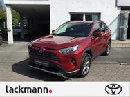 Toyota RAV 4, 2.5 Hybrid 4x2 Team D Technik-Paket, Jahr 2020 - Wuppertal