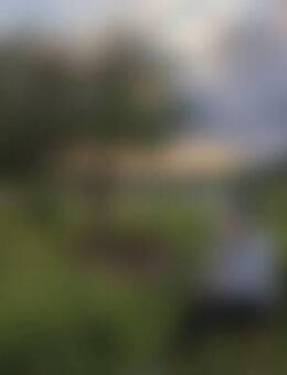 Eli*** - Lingen (Ems)