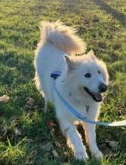 Über Benjamin Blümchen - Kierspe