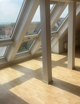 2 Zimmer Oase in Aschaffenburg City - Aschaffenburg
