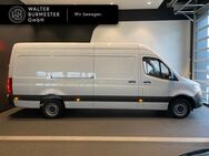 Mercedes Sprinter, 317 KlimaA, Jahr 2022 - Rellingen