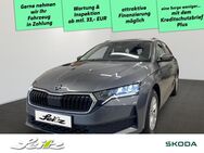 Skoda Octavia, 2.0 TDI Combi Essence APPCON L, Jahr 2022 - Sonthofen