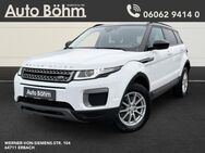 Land Rover Range Rover Evoque, TD4 Pure AWD St Hzg, Jahr 2016 - Erbach (Hessen)