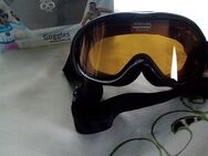 Ski Brille von Google Uvex Nr 8 - Königswinter