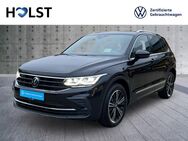 VW Tiguan, 2.0 TDI Life HarmannKardon, Jahr 2024 - Scheeßel