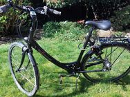 Trekkingrad - Münster