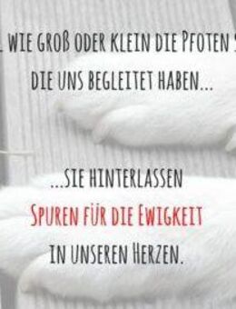 13 Artikel für Hunde*Hundespielzeug etc.*NEU/wie neu*siehe Bilder - Korschenbroich