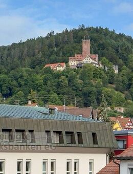 Große Maisonette Wohnung mit Balkon und TG Platz in Bad Liebenzell ! - Bad Liebenzell