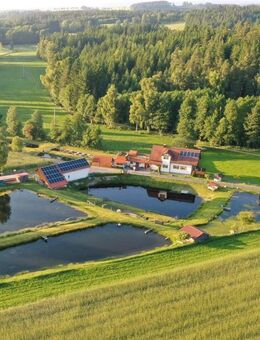 Exklusive Mehrfamilienhaus mit Ferienwohnungen und idyllischen Weihern - Plößberg