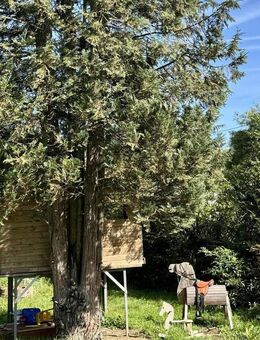 Charmantes Einfamilienhaus mit traumhaft großem Garten - ein Familienparadies mit Baumhaus - Vaihingen (Enz)