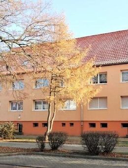 Sanierte Erdgeschoss- Wohnung mit EBK in Neundorf! - Staßfurt
