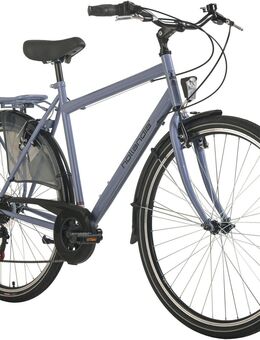 Hollandia Hollandrad City Next, 6 Gang Shimano Tourney Schaltwerk, Kettenschaltung