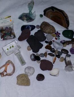 Konvolut von Mineralien Steinen Muscheln und Kristalle - Berlin Friedrichshain-Kreuzberg