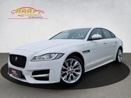 Jaguar XF R-Sport*Navigation*Xenon*Rückfahrkamera* - Ebersdorf (Coburg)