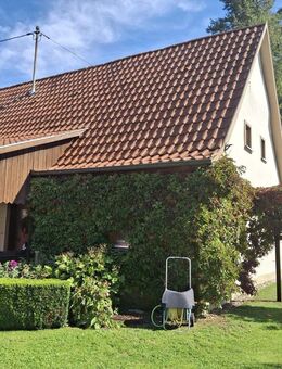 Idylle aus vergangener Zeit - Stadtlauringen