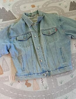 Jeansjacke Paddocks Herren L - Waldbreitbach