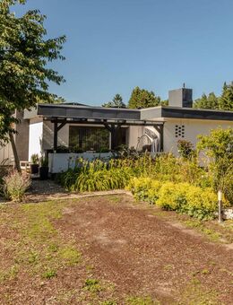 Moderner Flachdachbungalow mit Photovoltaikanlage in ruhiger Wohnlage - Zernien
